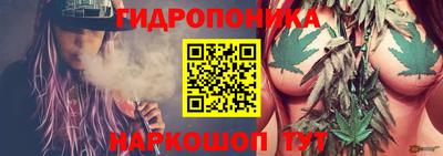 прущие крисы Канаш