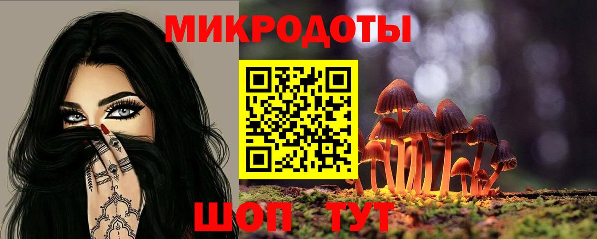 Псилоцибиновые грибы прущие грибы Вязники